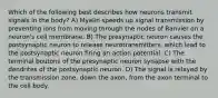 Which of the following best describes how neurons transmit signals in the body? A) Myelin speeds up signal transmission by preventing ions from moving through the nodes of Ranvier on a neuron's cell membrane. B) The presynaptic neuron causes the postsynaptic neuron to release neurotransmitters, which lead to the postsynaptic neuron firing an action potential. C) The terminal boutons of the presynaptic neuron synapse with the dendrites of the postsynaptic neuron. D) The signal is relayed by the transmission zone, down the axon, from the axon terminal to the cell body.