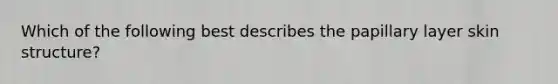 Which of the following best describes the papillary layer skin structure?