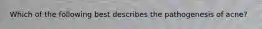 Which of the following best describes the pathogenesis of acne?