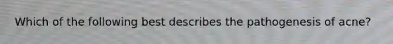 Which of the following best describes the pathogenesis of acne?