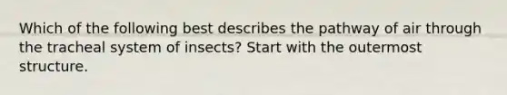 Which of the following best describes the pathway of air through the tracheal system of insects? Start with the outermost structure.