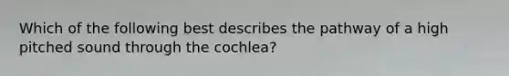 Which of the following best describes the pathway of a high pitched sound through the cochlea?