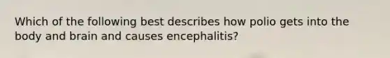 Which of the following best describes how polio gets into the body and brain and causes encephalitis?