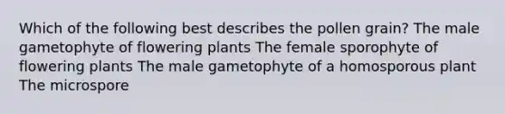 Which of the following best describes the pollen grain? The male gametophyte of flowering plants The female sporophyte of flowering plants The male gametophyte of a homosporous plant The microspore