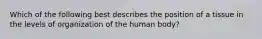 Which of the following best describes the position of a tissue in the levels of organization of the human body?