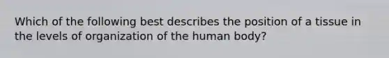 Which of the following best describes the position of a tissue in the levels of organization of the human body?