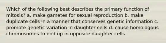 Which of the following best describes the primary function of mitosis? a. make gametes for sexual reproduction b. make duplicate cells in a manner that conserves genetic information c. promote genetic variation in daughter cells d. cause homologous chromosomes to end up in opposite daughter cells