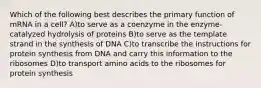 Which of the following best describes the primary function of mRNA in a cell? A)to serve as a coenzyme in the enzyme-catalyzed hydrolysis of proteins B)to serve as the template strand in the synthesis of DNA C)to transcribe the instructions for protein synthesis from DNA and carry this information to the ribosomes D)to transport amino acids to the ribosomes for protein synthesis