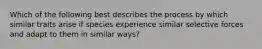 Which of the following best describes the process by which similar traits arise if species experience similar selective forces and adapt to them in similar ways?