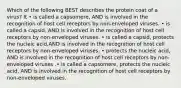 Which of the following BEST describes the protein coat of a virus? It • is called a capsomere, AND is involved in the recognition of host cell receptors by non-enveloped viruses. • is called a capsid, AND is involved in the recognition of host cell receptors by non-enveloped viruses. • is called a capsid, protects the nucleic acid,AND is involved in the recognition of host cell receptors by non-enveloped viruses. • protects the nucleic acid, AND is involved in the recognition of host cell receptors by non-enveloped viruses .• is called a capsomere, protects the nucleic acid, AND is involved in the recognition of host cell receptors by non-enveloped viruses.