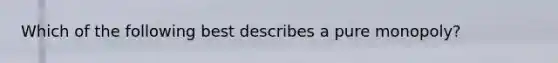Which of the following best describes a pure monopoly?