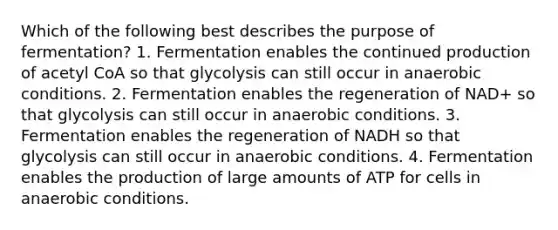 Which of the following best describes the purpose of fermentation? 1. Fermentation enables the continued production of acetyl CoA so that glycolysis can still occur in anaerobic conditions. 2. Fermentation enables the regeneration of NAD+ so that glycolysis can still occur in anaerobic conditions. 3. Fermentation enables the regeneration of NADH so that glycolysis can still occur in anaerobic conditions. 4. Fermentation enables the production of large amounts of ATP for cells in anaerobic conditions.