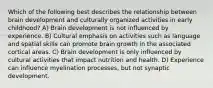 Which of the following best describes the relationship between brain development and culturally organized activities in early childhood? A) Brain development is not influenced by experience. B) Cultural emphasis on activities such as language and spatial skills can promote brain growth in the associated cortical areas. C) Brain development is only influenced by cultural activities that impact nutrition and health. D) Experience can influence myelination processes, but not synaptic development.