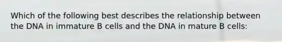 Which of the following best describes the relationship between the DNA in immature B cells and the DNA in mature B cells: