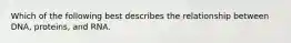 Which of the following best describes the relationship between DNA, proteins, and RNA.