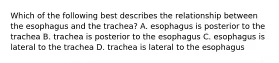 Which of the following best describes the relationship between the esophagus and the trachea? A. esophagus is posterior to the trachea B. trachea is posterior to the esophagus C. esophagus is lateral to the trachea D. trachea is lateral to the esophagus