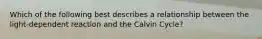 Which of the following best describes a relationship between the light-dependent reaction and the Calvin Cycle?