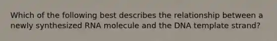 Which of the following best describes the relationship between a newly synthesized RNA molecule and the DNA template strand?