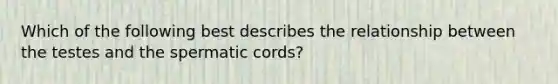 Which of the following best describes the relationship between the testes and the spermatic cords?