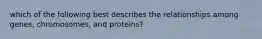 which of the following best describes the relationships among genes, chromosomes, and proteins?