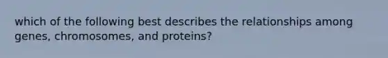 which of the following best describes the relationships among genes, chromosomes, and proteins?