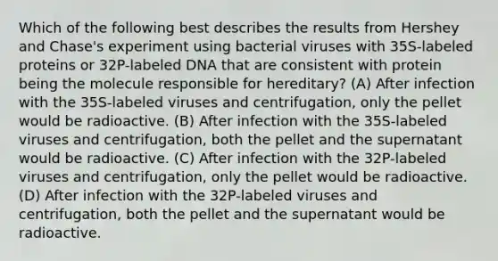 Which of the following best describes the results from Hershey and Chase's experiment using bacterial viruses with 35S-labeled proteins or 32P-labeled DNA that are consistent with protein being the molecule responsible for hereditary? (A) After infection with the 35S-labeled viruses and centrifugation, only the pellet would be radioactive. (B) After infection with the 35S-labeled viruses and centrifugation, both the pellet and the supernatant would be radioactive. (C) After infection with the 32P-labeled viruses and centrifugation, only the pellet would be radioactive. (D) After infection with the 32P-labeled viruses and centrifugation, both the pellet and the supernatant would be radioactive.