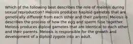 Which of the following best describes the role of meiosis during sexual reproduction? Meiosis produces haploid gametes that are genetically different from each other and their parents. Meiosis is describes the process of how the egg and sperm fuse together. Meiosis produces diploid gametes that are identical to each other and their parents. Meiosis is responsible for the growth and development of a diploid zygote into an adult.