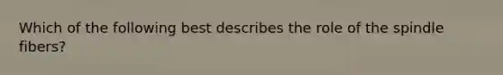 Which of the following best describes the role of the spindle fibers?