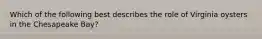 Which of the following best describes the role of Virginia oysters in the Chesapeake Bay?