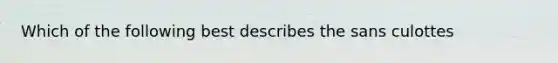 Which of the following best describes the sans culottes