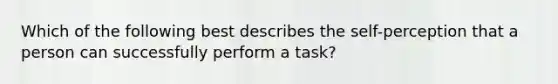 Which of the following best describes the self-perception that a person can successfully perform a task?