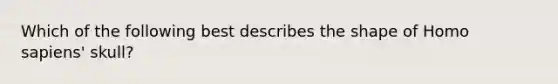 Which of the following best describes the shape of Homo sapiens' skull?