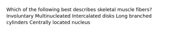 Which of the following best describes skeletal muscle fibers? Involuntary Multinucleated Intercalated disks Long branched cylinders Centrally located nucleus