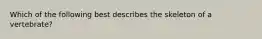 Which of the following best describes the skeleton of a vertebrate?