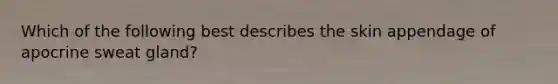 Which of the following best describes the skin appendage of apocrine sweat gland?