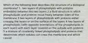 Which of the following best describes the structure of a biological membrane? 1. two layers of phospholipids with proteins embedded between the two layers 2 a fluid structure in which phospholipids and proteins move freely between sides of the membrane 3 two layers of phospholipids with proteins either crossing the layers or on the surface of the layers 4 two layers of phospholipids (with opposite orientations of the phospholipids in each layer) with each layer covered on the outside with proteins 5 a mixture of covalently linked phospholipids and proteins that determines which solutes can cross the membrane and which cannot