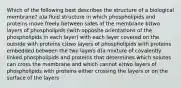 Which of the following best describes the structure of a biological membrane? a)a fluid structure in which phospholipids and proteins move freely between sides of the membrane b)two layers of phospholipids (with opposite orientations of the phospholipids in each layer) with each layer covered on the outside with proteins c)two layers of phospholipids with proteins embedded between the two layers d)a mixture of covalently linked phospholipids and proteins that determines which solutes can cross the membrane and which cannot e)two layers of phospholipids with proteins either crossing the layers or on the surface of the layers