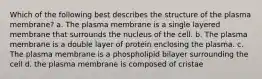 Which of the following best describes the structure of the plasma membrane? a. The plasma membrane is a single layered membrane that surrounds the nucleus of the cell. b. The plasma membrane is a double layer of protein enclosing the plasma. c. The plasma membrane is a phospholipid bilayer surrounding the cell d. the plasma membrane is composed of cristae