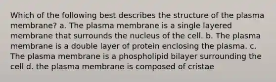 Which of the following best describes the structure of the plasma membrane? a. The plasma membrane is a single layered membrane that surrounds the nucleus of the cell. b. The plasma membrane is a double layer of protein enclosing the plasma. c. The plasma membrane is a phospholipid bilayer surrounding the cell d. the plasma membrane is composed of cristae