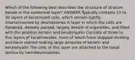 Which of the following best describes the structure of stratum basale in the epidermal layer? ANSWER Typically contains 15 to 30 layers of keratinized cells, which remain tightly interconnected by desmosomes A layer in which the cells are flattened, densely packed, largely devoid of organelles, and filled with the proteins keratin and keratohyalin Consists of three to five layers of keratinocytes, most of which have stopped dividing and have started making large amounts of keratin and keratohyalin The cells of this layer are attached to the basal lamina by hemidesmosomes.