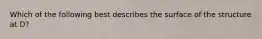 Which of the following best describes the surface of the structure at D?