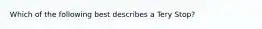 Which of the following best describes a Tery Stop?