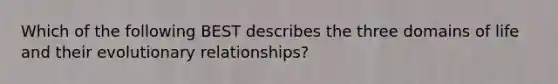 Which of the following BEST describes the three domains of life and their evolutionary relationships?