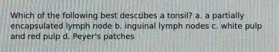 Which of the following best describes a tonsil? a. a partially encapsulated lymph node b. inguinal lymph nodes c. white pulp and red pulp d. Peyer's patches