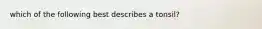 which of the following best describes a tonsil?