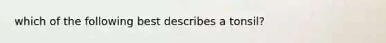 which of the following best describes a tonsil?