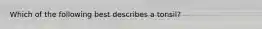 Which of the following best describes a tonsil?