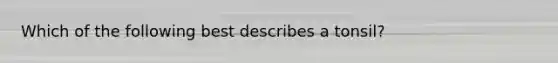 Which of the following best describes a tonsil?