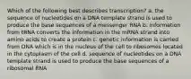 Which of the following best describes transcription? a. the sequence of nucleotides on a DNA template strand is used to produce the base sequences of a messenger RNA b. information from tRNA converts the information in the mRNA strand into amino acids to create a protein c. genetic information is carried from DNA which is in the nucleus of the cell to ribosomes located in the cytoplasm of the cell d. sequence of nucleotides on a DNA template strand is used to produce the base sequences of a ribosomal RNA