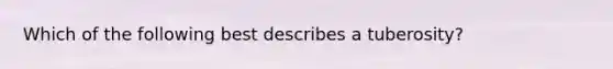 Which of the following best describes a tuberosity?